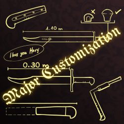 Inquiry - Major customizations
