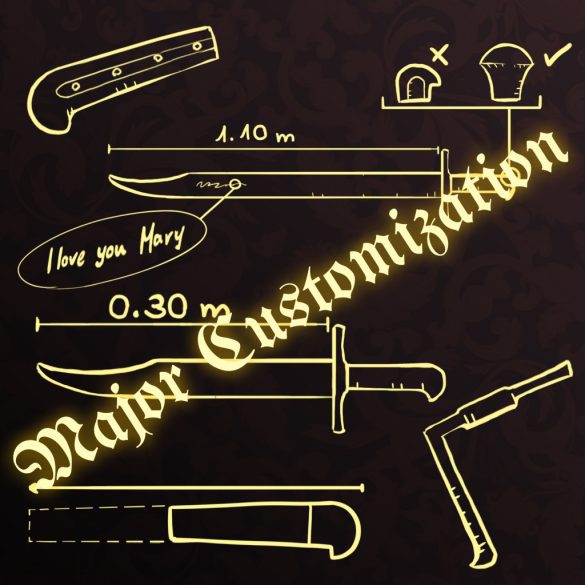 Inquiry - Major customizations